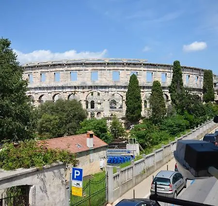 Arena View
